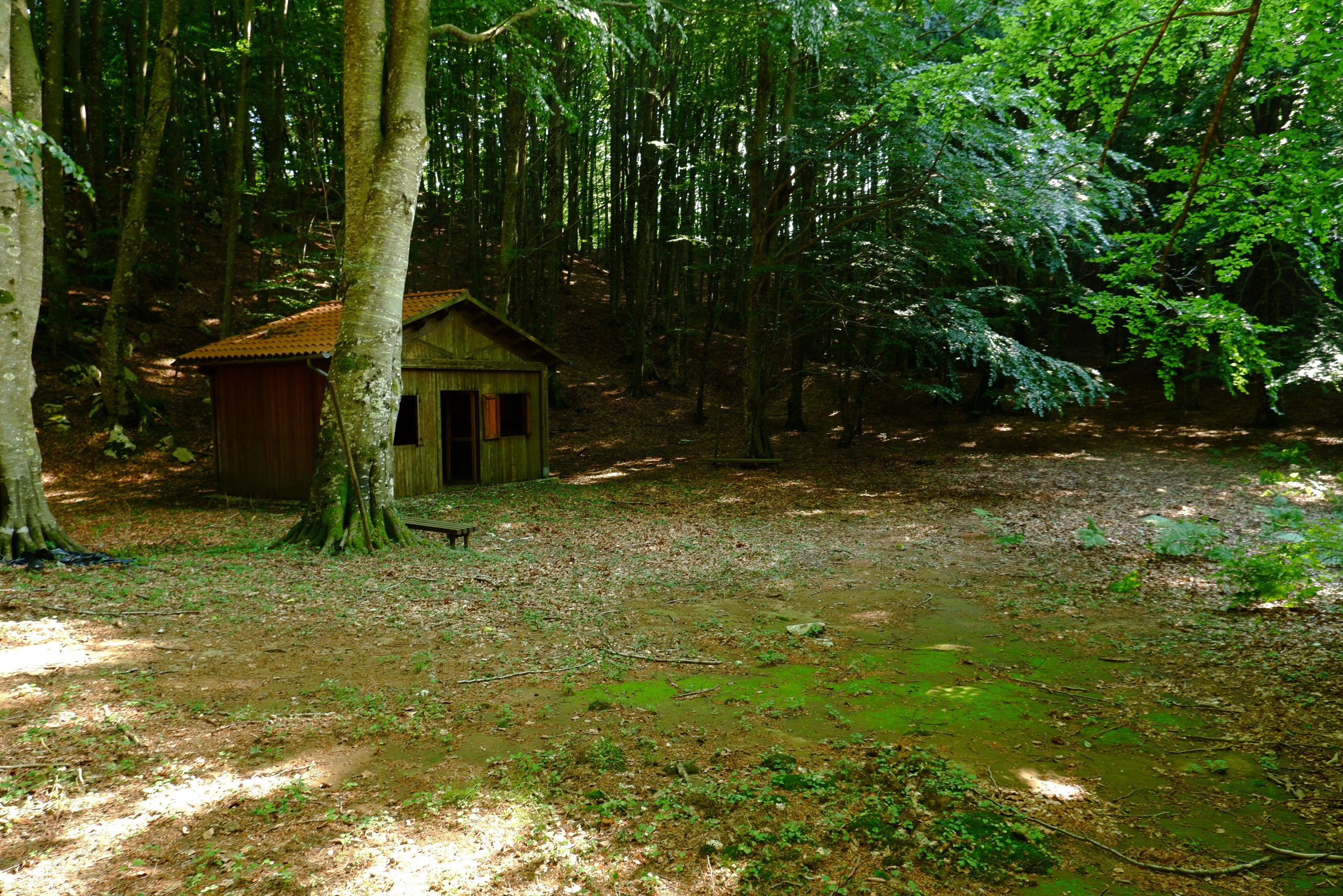 Notte in Tenda nei Boschi